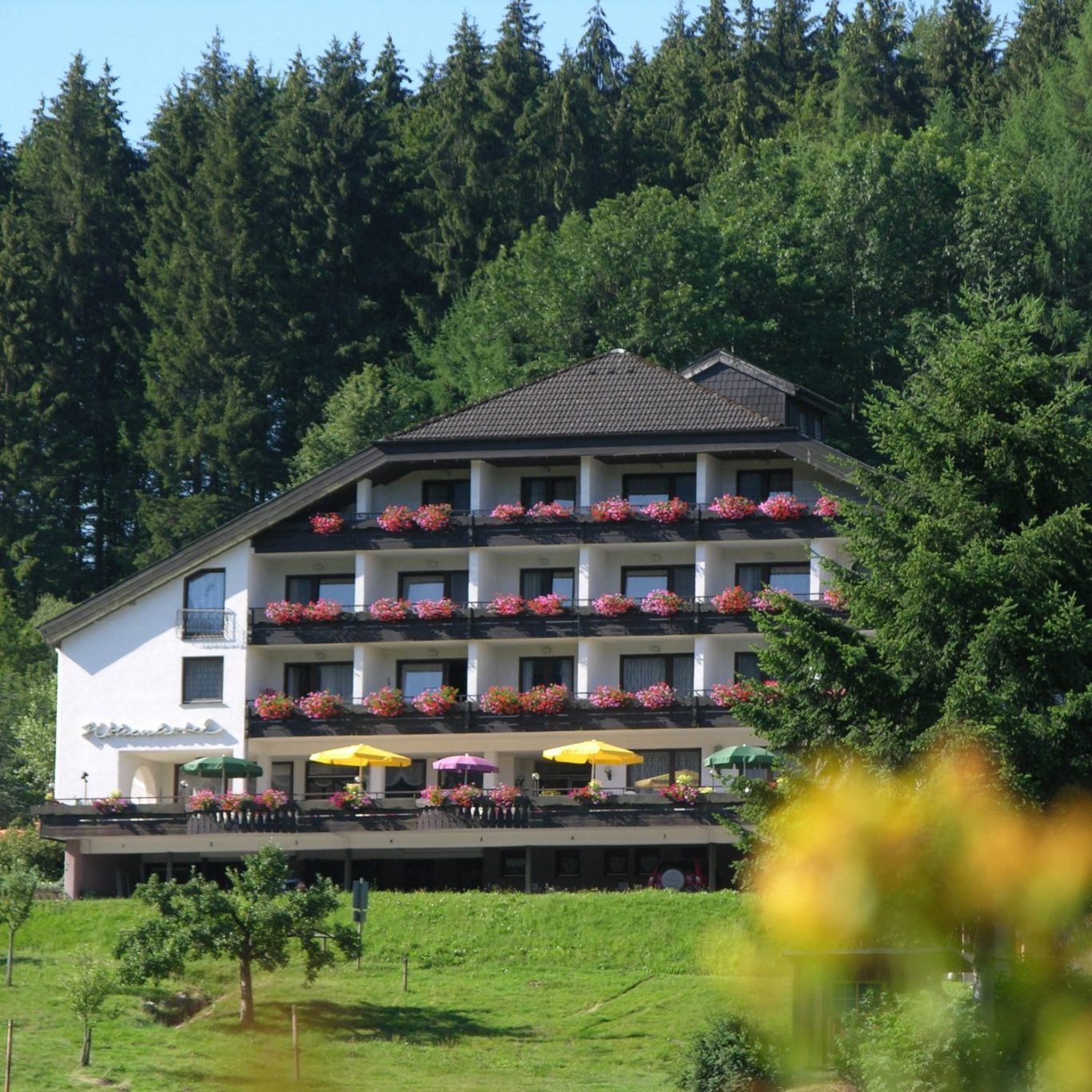 familiengeführtes Höhenhotel Pfeifle im Schwarzwald, ruhig gelegen mit Blick ins Grüne